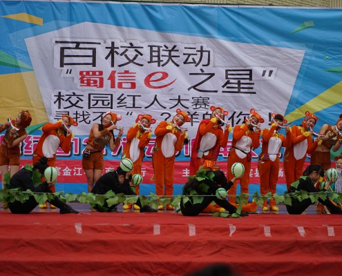 DSC04262