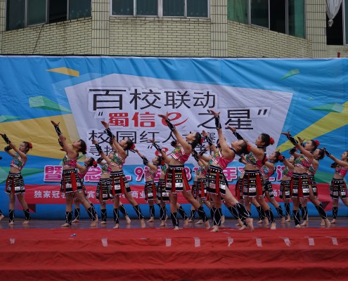 DSC04453