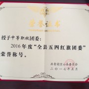 2017 年五四红旗团委