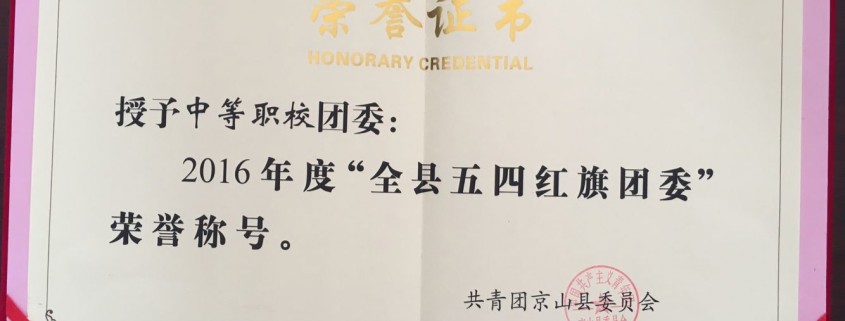 2017 年五四红旗团委