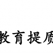 职业教育提质培优