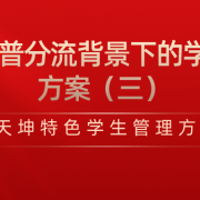 天坤特色模式